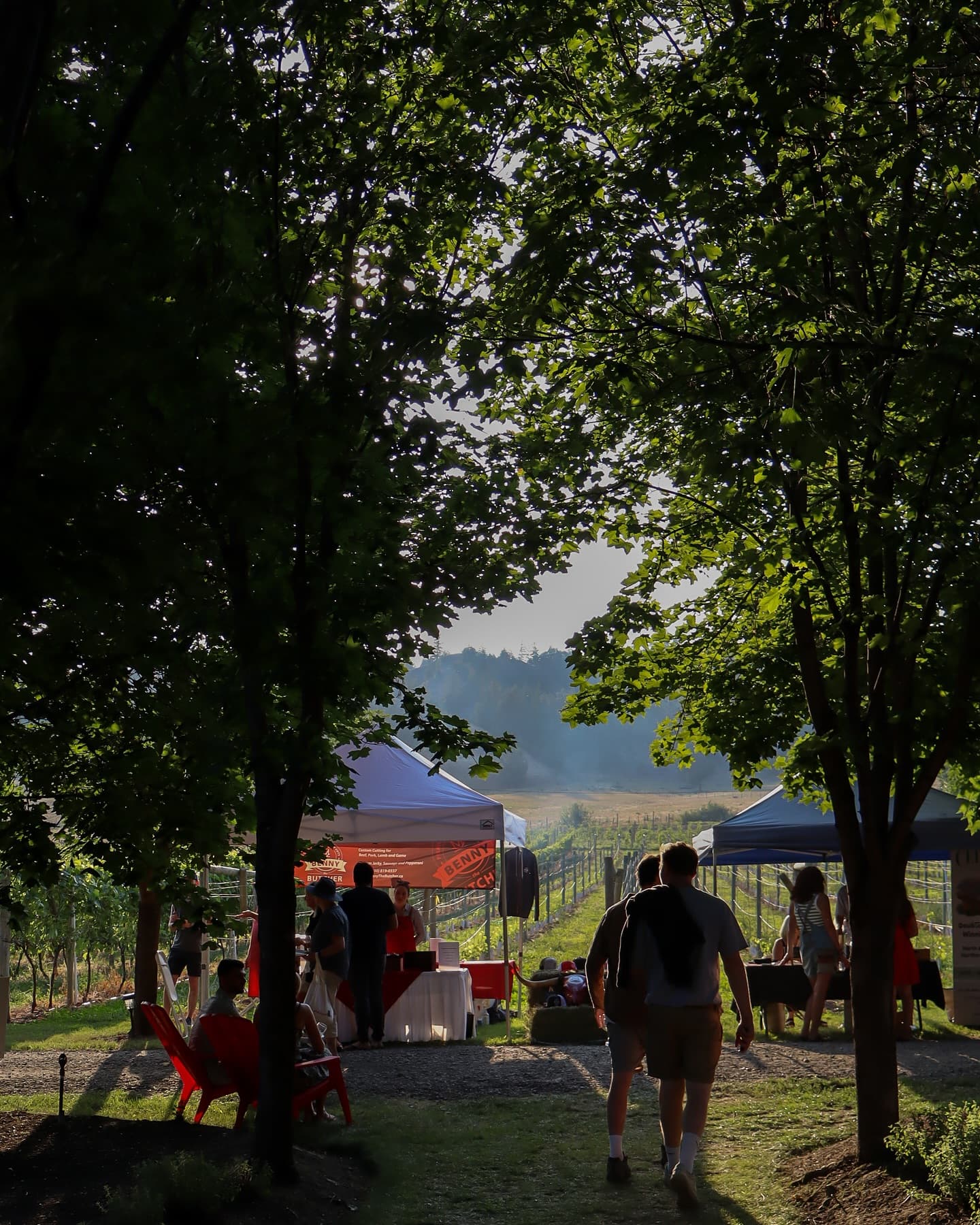 Farm2Chefs Grazing Event