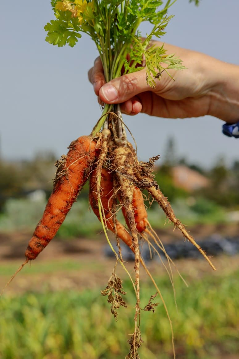 Farm2Chefs community and local food